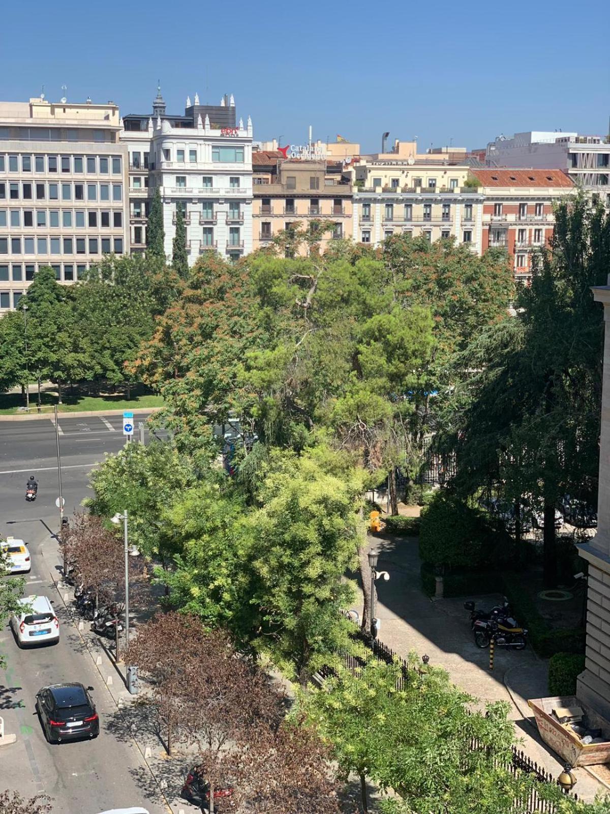 Luxury Studio Retiro Park & Prado Museum Madryt Zewnętrze zdjęcie